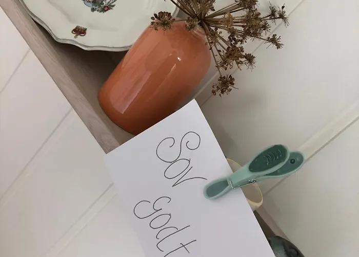Olsens Гостевой дом
